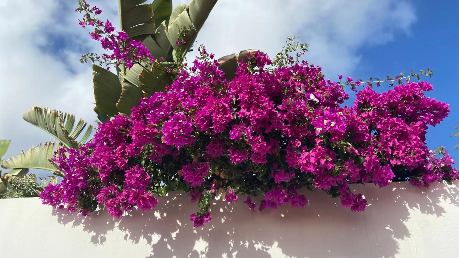 Excelsior I Sea View Apartment Maspalomas  Spain