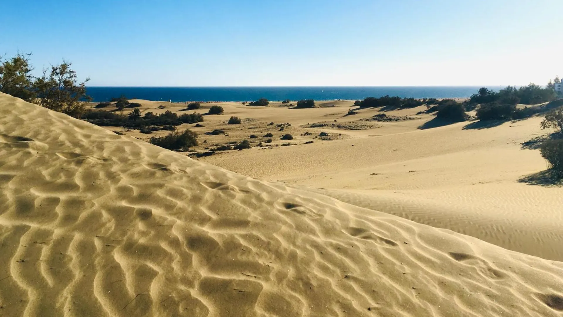 Excelsior I Sea View Apartment Maspalomas